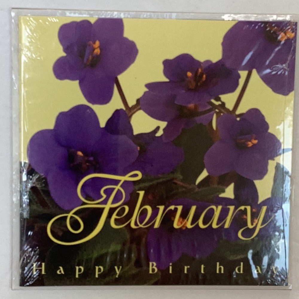 Birthday February CD Greeting Card Violet Flowers Nature Sounds New In P…
